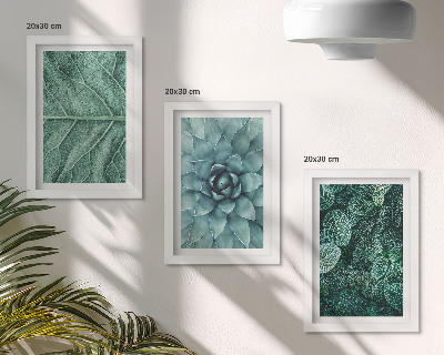 Trittico incorniciato Primi piani di piante succulente e foglie