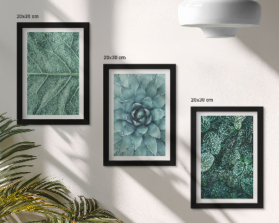 Trittico incorniciato Primi piani di piante succulente e foglie