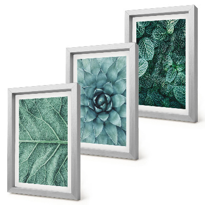 Trittico incorniciato Primi piani di piante succulente e foglie