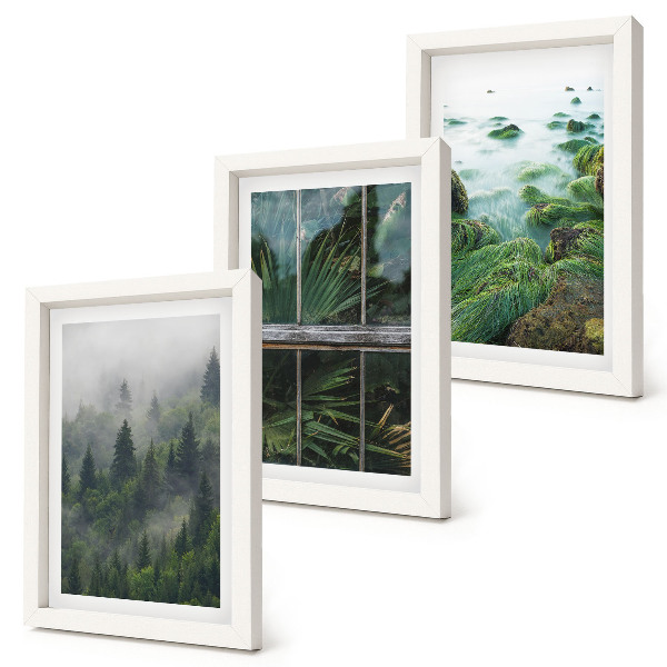 Composizione di 3 quadri Una foresta nella nebbia, la riva di un fiume e una serra con delle piante.