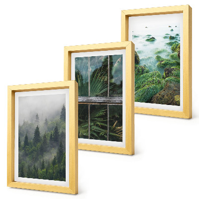 Composizione di 3 quadri Una foresta nella nebbia, la riva di un fiume e una serra con delle piante.