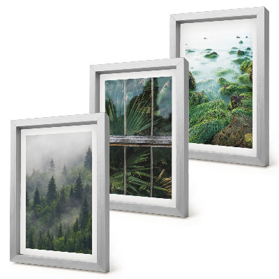 Composizione di 3 quadri Una foresta nella nebbia, la riva di un fiume e una serra con delle piante.
