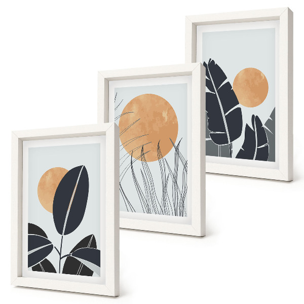 Trittico incorniciato Composizioni floreali con grandi soli, stile minimalista