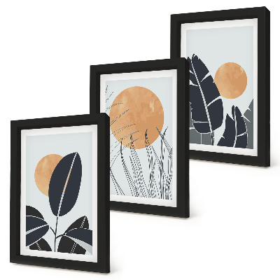 Trittico incorniciato Composizioni floreali con grandi soli, stile minimalista