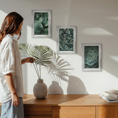 Composizione di 3 quadri Piante verdi e succulente alla moda