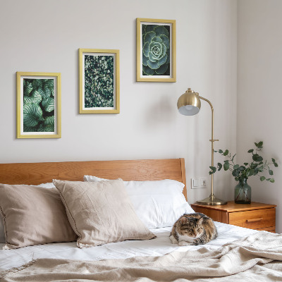 Composizione di 3 quadri Piante verdi e succulente alla moda