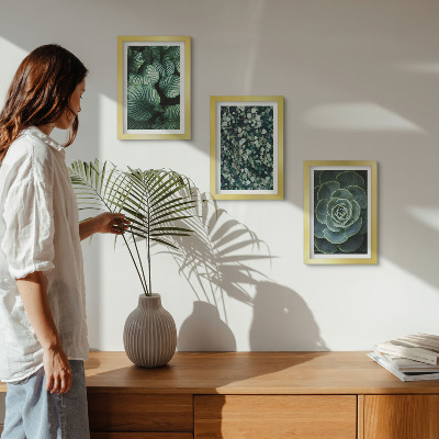 Composizione di 3 quadri Piante verdi e succulente alla moda