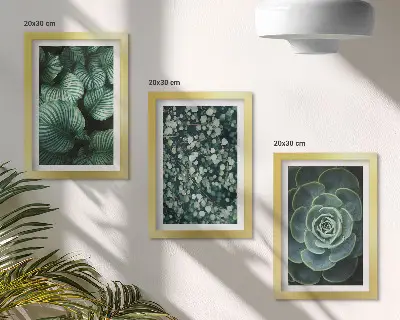 Composizione di 3 quadri con piante verdi e succulente alla moda
