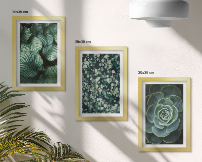 Composizione di 3 quadri Piante verdi e succulente alla moda