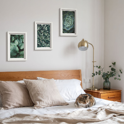 Composizione di 3 quadri Piante verdi e succulente alla moda