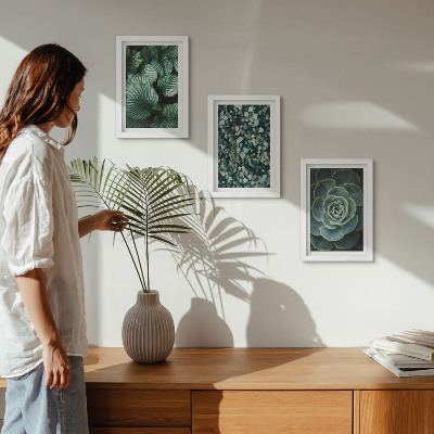 Composizione di 3 quadri Piante verdi e succulente alla moda