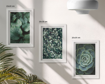 Composizione di 3 quadri Piante verdi e succulente alla moda