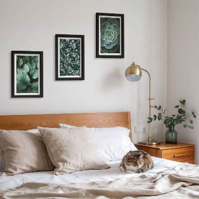 Composizione di 3 quadri Piante verdi e succulente alla moda