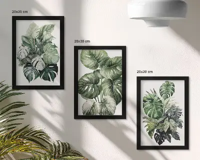 Composizione di 3 quadri con acquerelli raffiguranti foglie verdi di piante tropicali