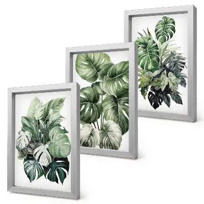 Composizione di 3 quadri con acquerelli raffiguranti foglie verdi di piante tropicali