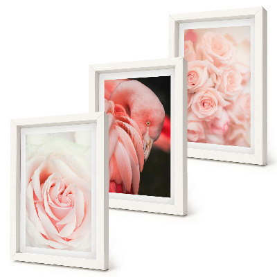 Trittico incorniciato Rosa pastello e fenicottero in delicate sfumature