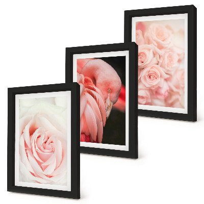 Trittico incorniciato Rosa pastello e fenicottero in delicate sfumature