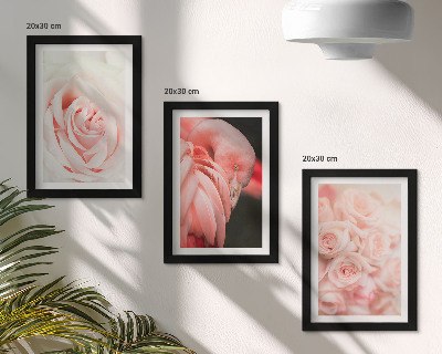 Trittico incorniciato Rosa pastello e fenicottero in delicate sfumature