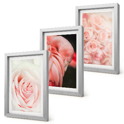 Trittico incorniciato Rosa pastello e fenicottero in delicate sfumature