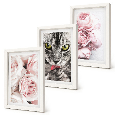 Trittico incorniciato Un gatto tra i fiori rosa di rose e peonie