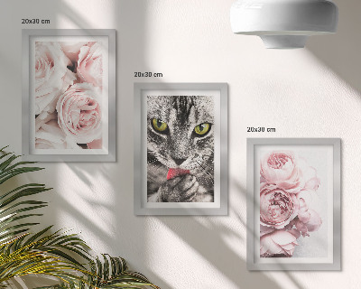 Trittico incorniciato Un gatto tra i fiori rosa di rose e peonie