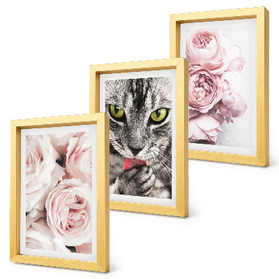 Trittico incorniciato Un gatto tra i fiori rosa di rose e peonie