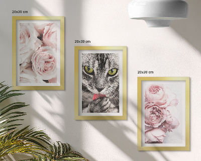 Trittico incorniciato Un gatto tra i fiori rosa di rose e peonie