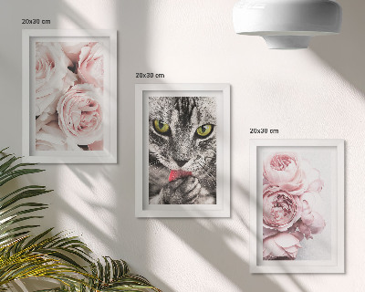 Trittico incorniciato Un gatto tra i fiori rosa di rose e peonie