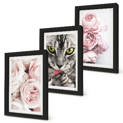 Trittico incorniciato Un gatto tra i fiori rosa di rose e peonie