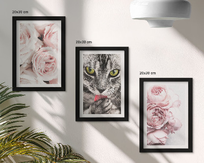Trittico incorniciato Un gatto tra i fiori rosa di rose e peonie