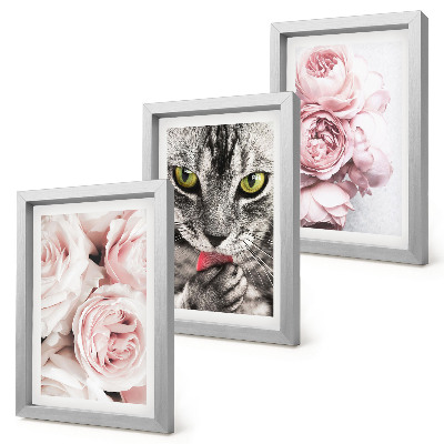Trittico incorniciato Un gatto tra i fiori rosa di rose e peonie