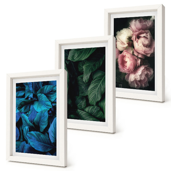 Trittico incorniciato Foglie e fiori di diversi colori