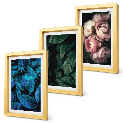 Trittico incorniciato Foglie e fiori di diversi colori