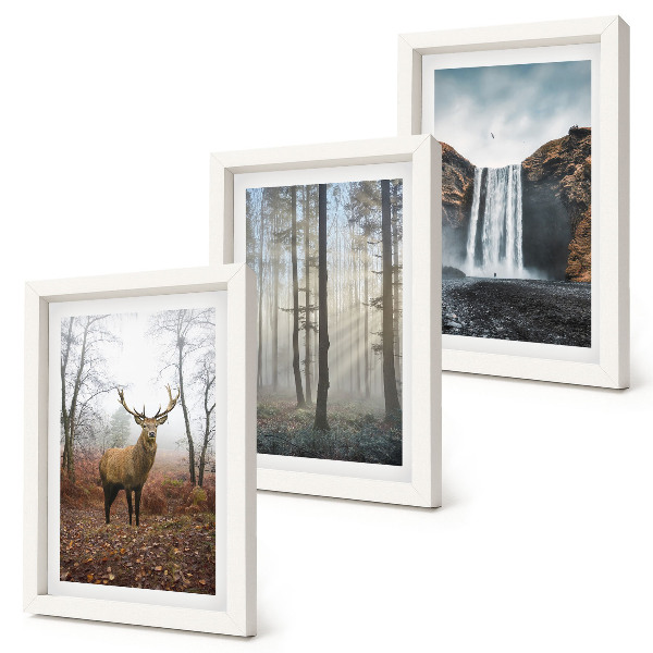 Composizione di 3 quadri Paesaggi forestali, natura selvaggia, cervi