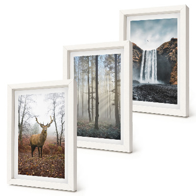 Composizione di 3 quadri Paesaggi forestali, natura selvaggia, cervi