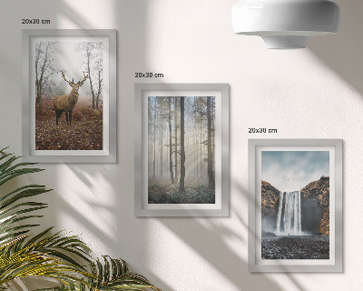 Composizione di 3 quadri Paesaggi forestali, natura selvaggia, cervi