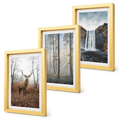 Composizione di 3 quadri Paesaggi forestali, natura selvaggia, cervi