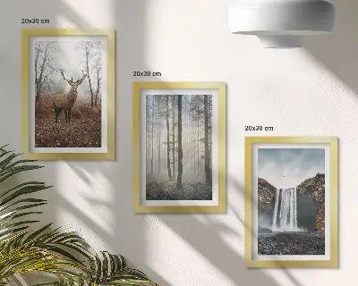 Composizione di 3 quadri paesaggi forestali con natura selvaggia e cervi