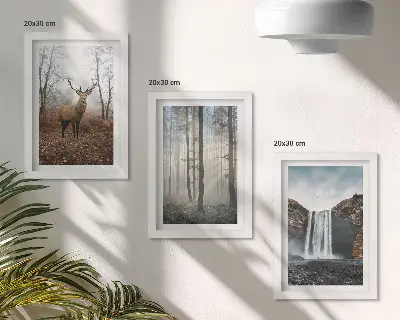 Composizione di 3 quadri paesaggi forestali con natura selvaggia e cervi