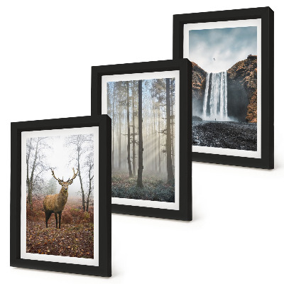 Composizione di 3 quadri Paesaggi forestali, natura selvaggia, cervi