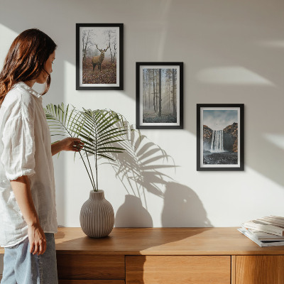 Composizione di 3 quadri Paesaggi forestali, natura selvaggia, cervi