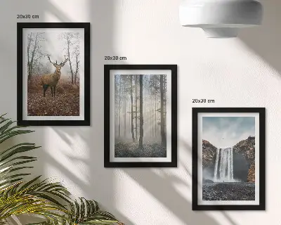 Composizione di 3 quadri paesaggi forestali con natura selvaggia e cervi