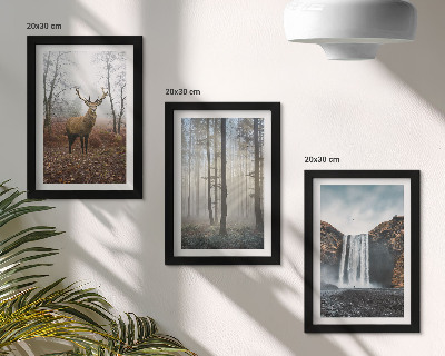 Composizione di 3 quadri Paesaggi forestali, natura selvaggia, cervi