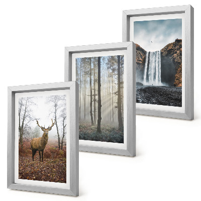 Composizione di 3 quadri Paesaggi forestali, natura selvaggia, cervi