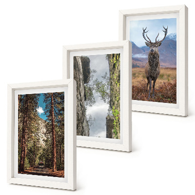 Trittico incorniciato Strada nella foresta, montagne e cervi in ​​natura