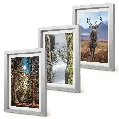 Trittico incorniciato strada nella foresta con montagne e cervi