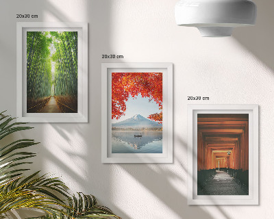 Composizione di 3 quadri Foresta di bambù, Monte Fuji, sentiero torii, paesaggi del Giappone