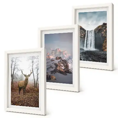 Composizione di 3 quadri con paesaggi naturali selvaggi, montagne, cervi e cascate