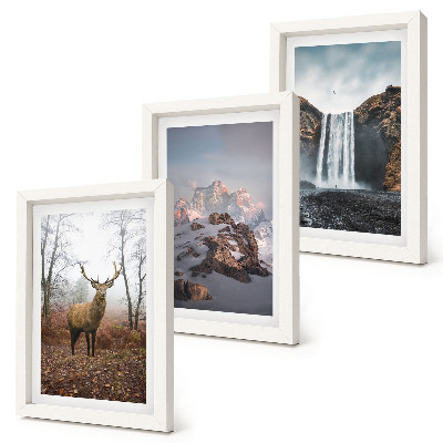 Composizione di 3 quadri Paesaggi naturali selvaggi, montagne, cervi e cascate