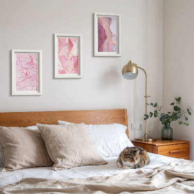 Composizione di 3 quadri fiori rosa peonie motivi geometrici